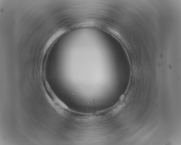 X0000076251426200610191637