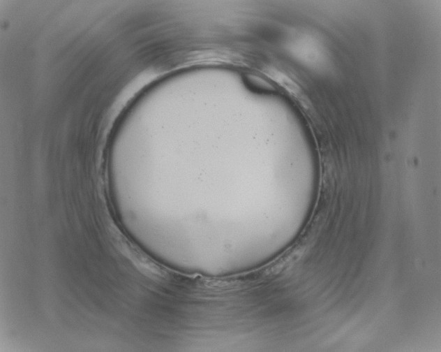 X0000076251427200610191637