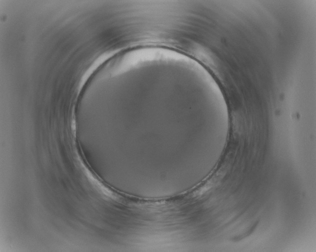 X0000076251428200610191637