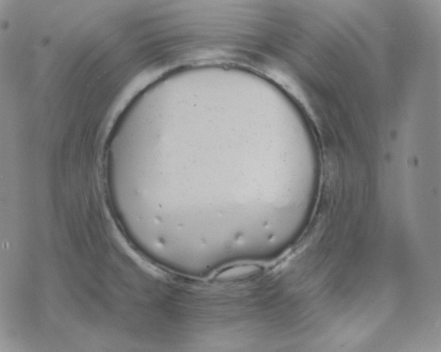 X0000076251429200610191637