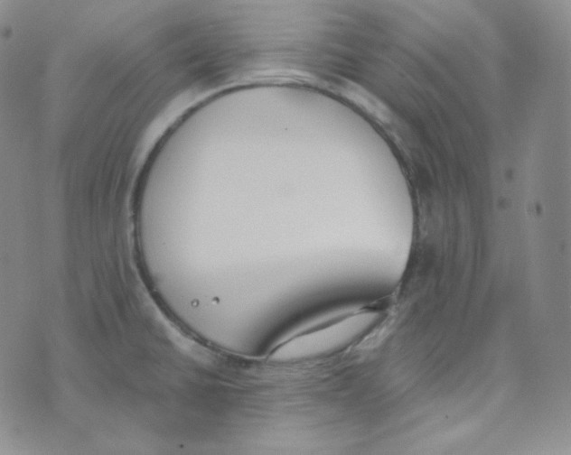 X0000076251430200610191637