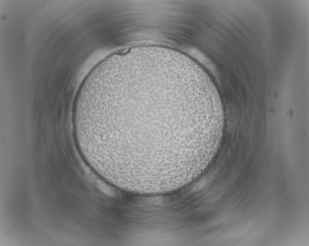 X0000076251431200610191637