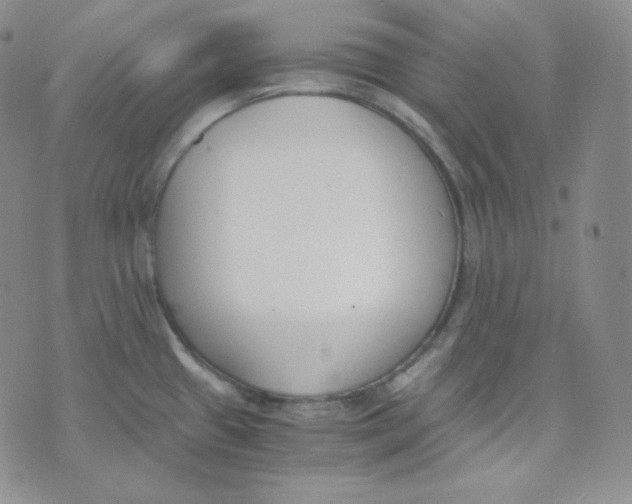 X0000076251433200610191637