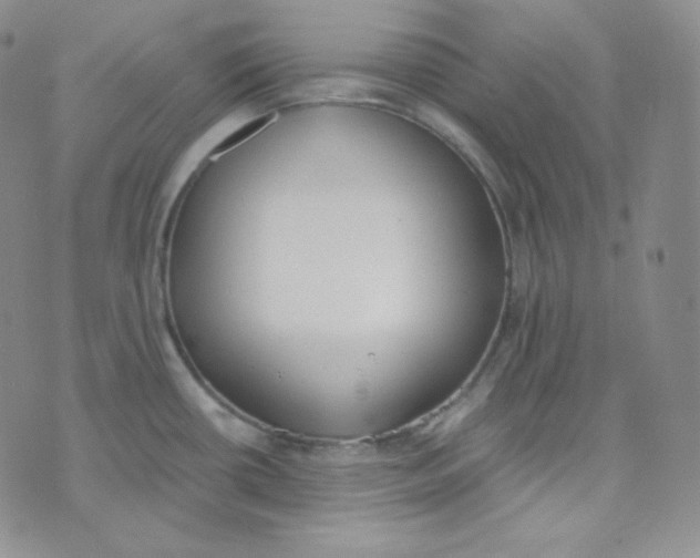 X0000076251434200610191637