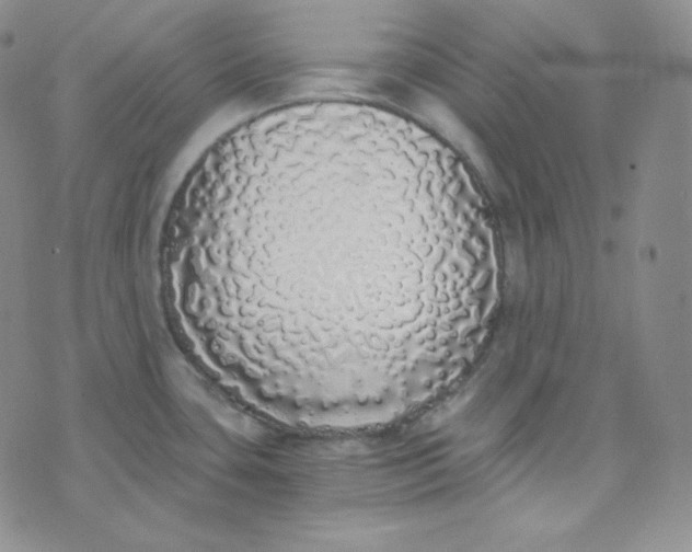 X0000076251435200610191637