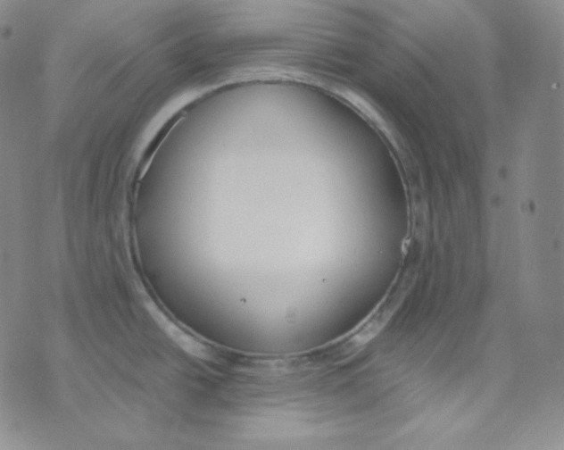 X0000076251438200610191637