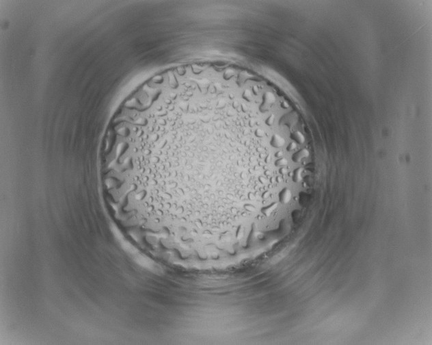 X0000076251439200610191638