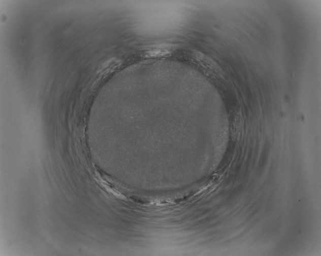 X0000076251441200610191637