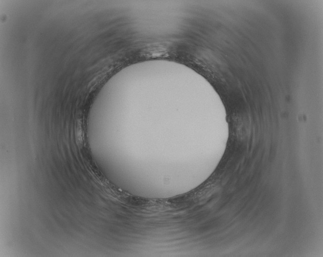 X0000076251442200610191637