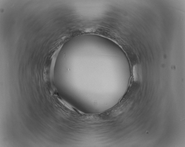 X0000076251443200610191637