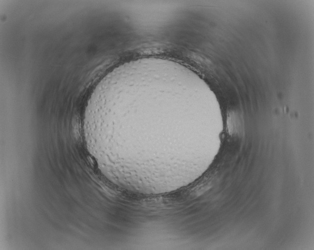 X0000076251444200610191637