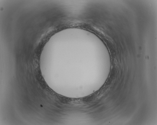 X0000076251447200610191637