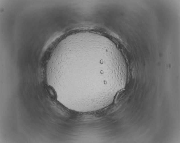 X0000076251448200610191637