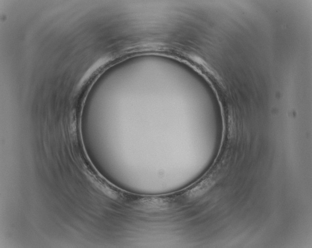 X0000076251450200610191637