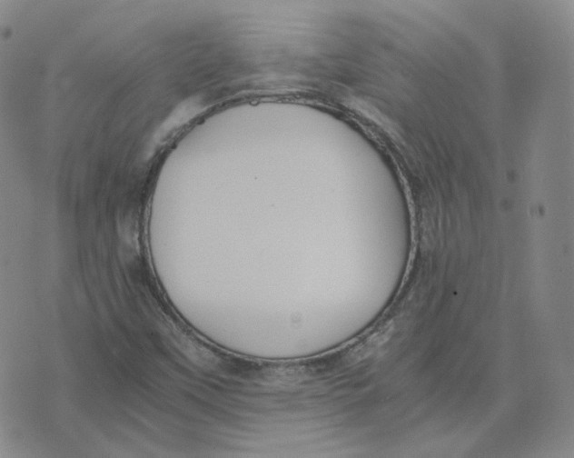 X0000076251451200610191637