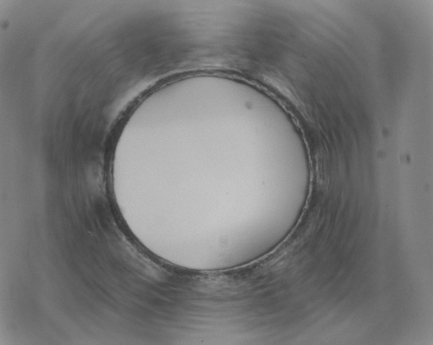 X0000076251452200610191637