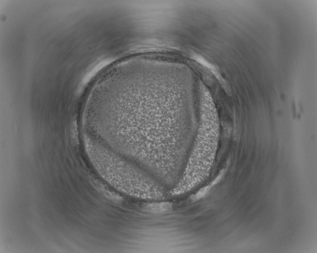 X0000076251453200610191637