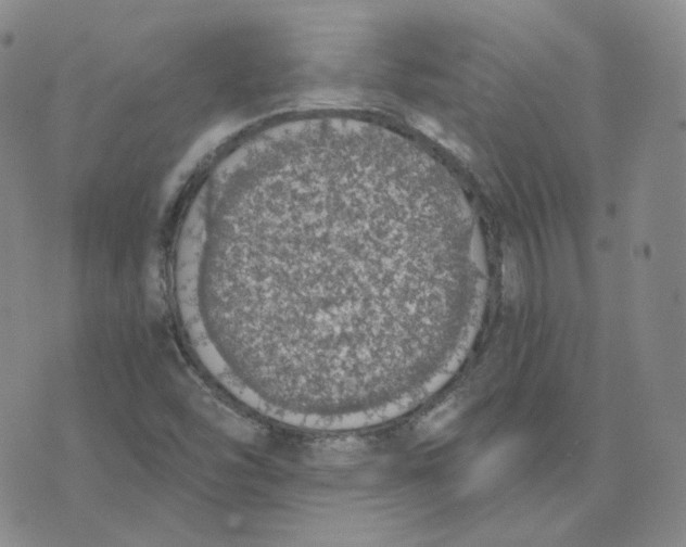 X0000076251454200610191637