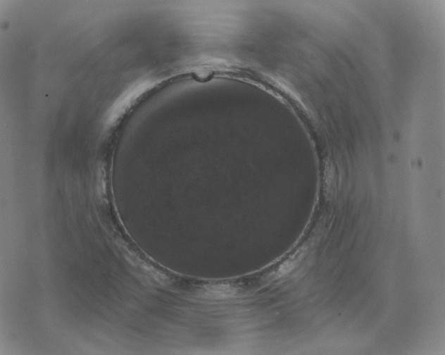 X0000076251455200610191637