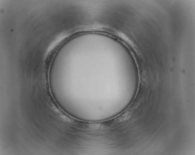 X0000076251456200610191636