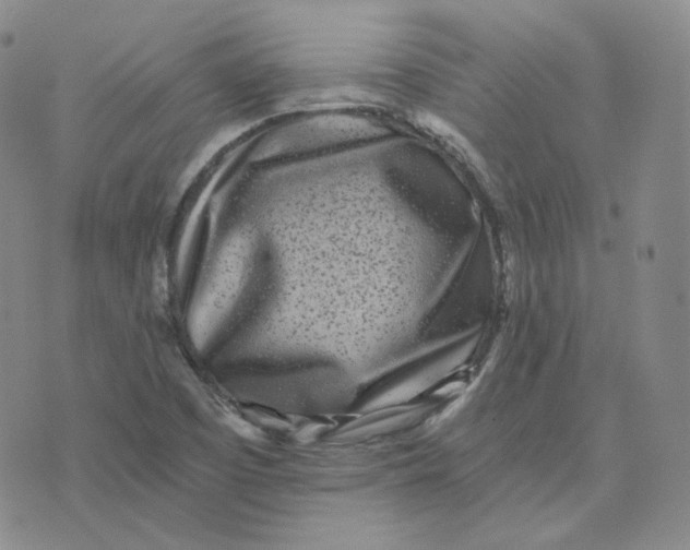 X0000076251457200610191636