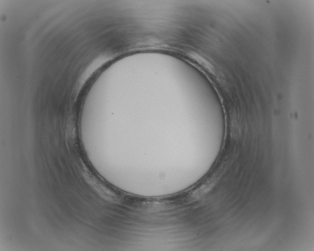 X0000076251458200610191636