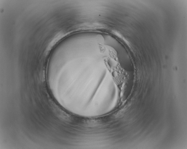 X0000076251459200610191636