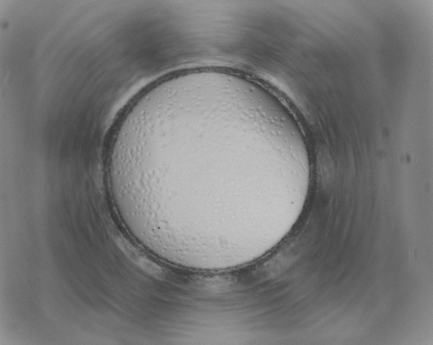 X0000076251460200610191636