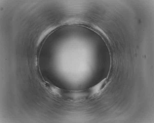 X0000076251461200610191636