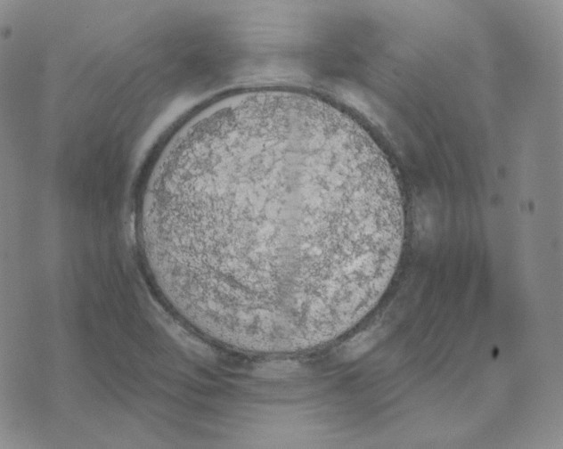 X0000076251462200610191636