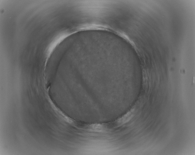 X0000076251463200610191636