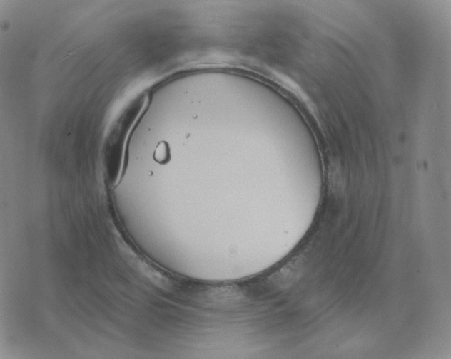 X0000076251464200610191636