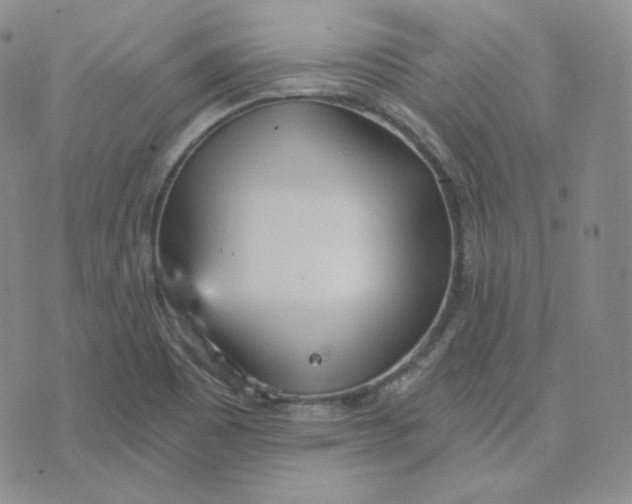 X0000076251465200610191636