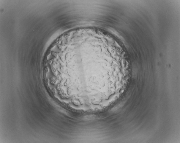 X0000076251467200610191636