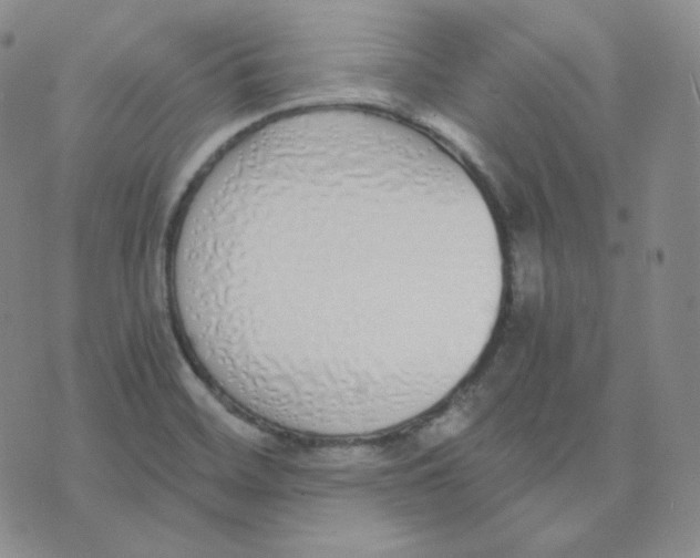 X0000076251468200610191636