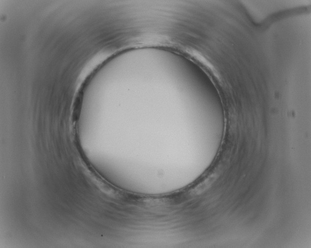 X0000076251469200610191636