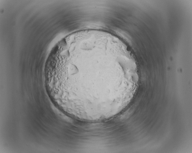 X0000076251471200610191636