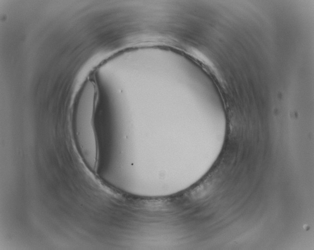 X0000076251472200610191636