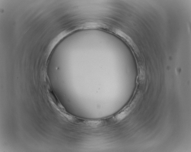 X0000076251473200610191636