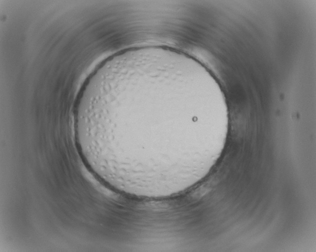 X0000076251476200610191636