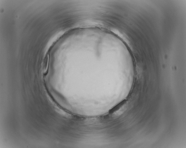 X0000076251477200610191636