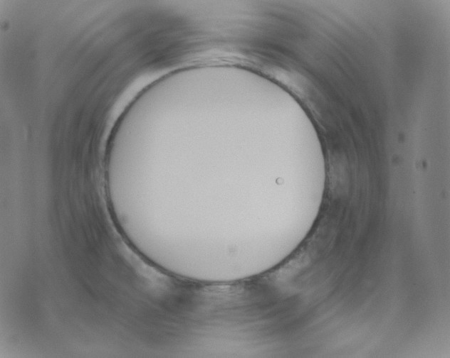 X0000076251478200610191636