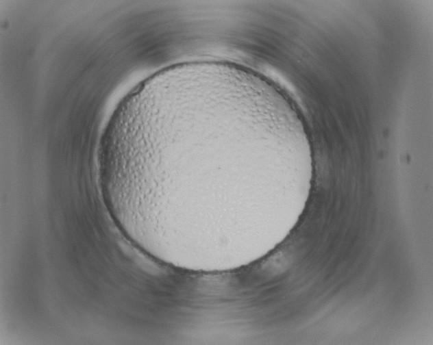 X0000076251480200610191636