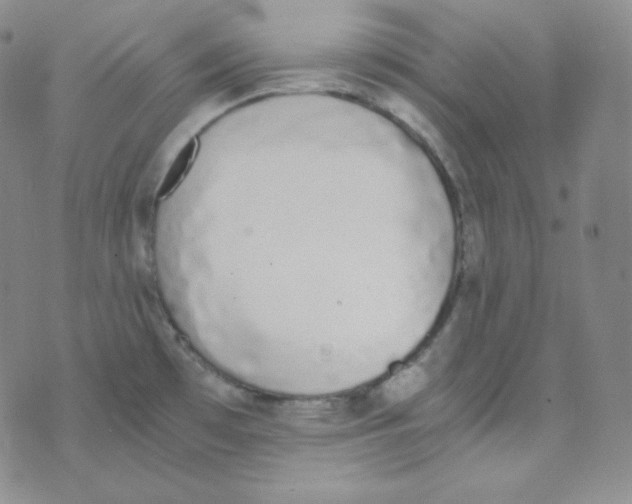 X0000076251481200610191636