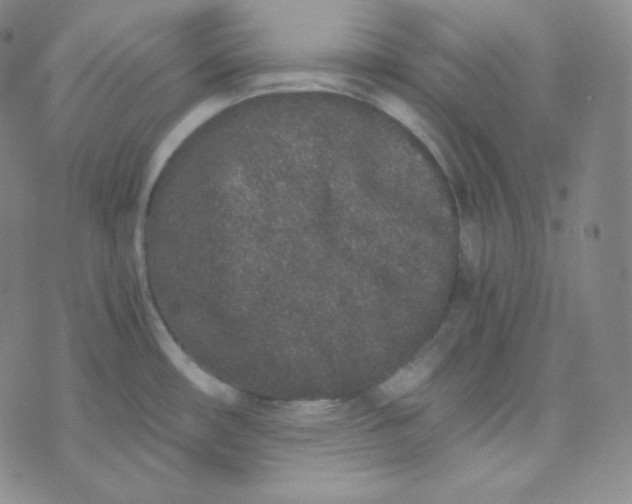 X0000076251482200610191636