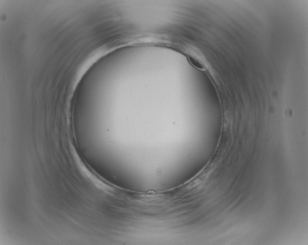 X0000076251483200610191636