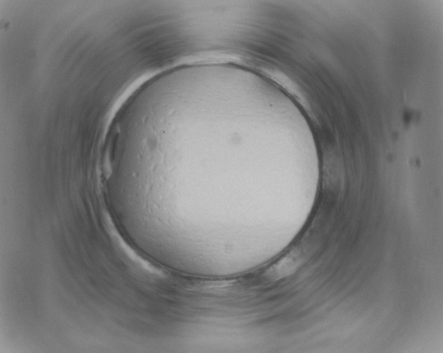 X0000076251484200610191636