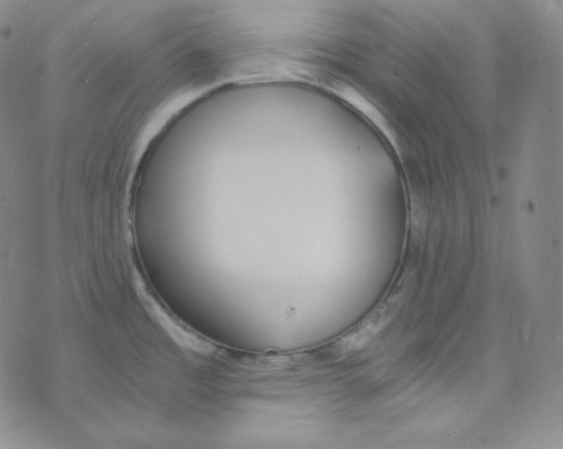 X0000076251485200610191636