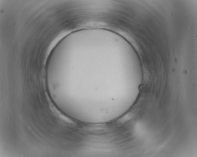 X0000076251486200610191636