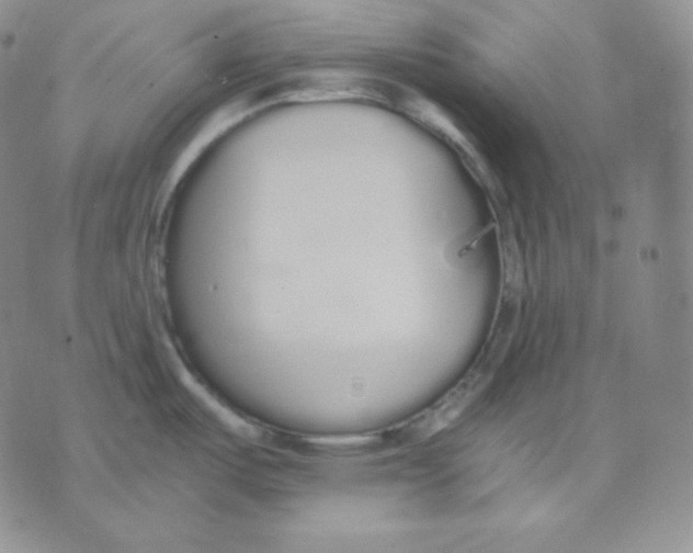 X0000076251487200610191636